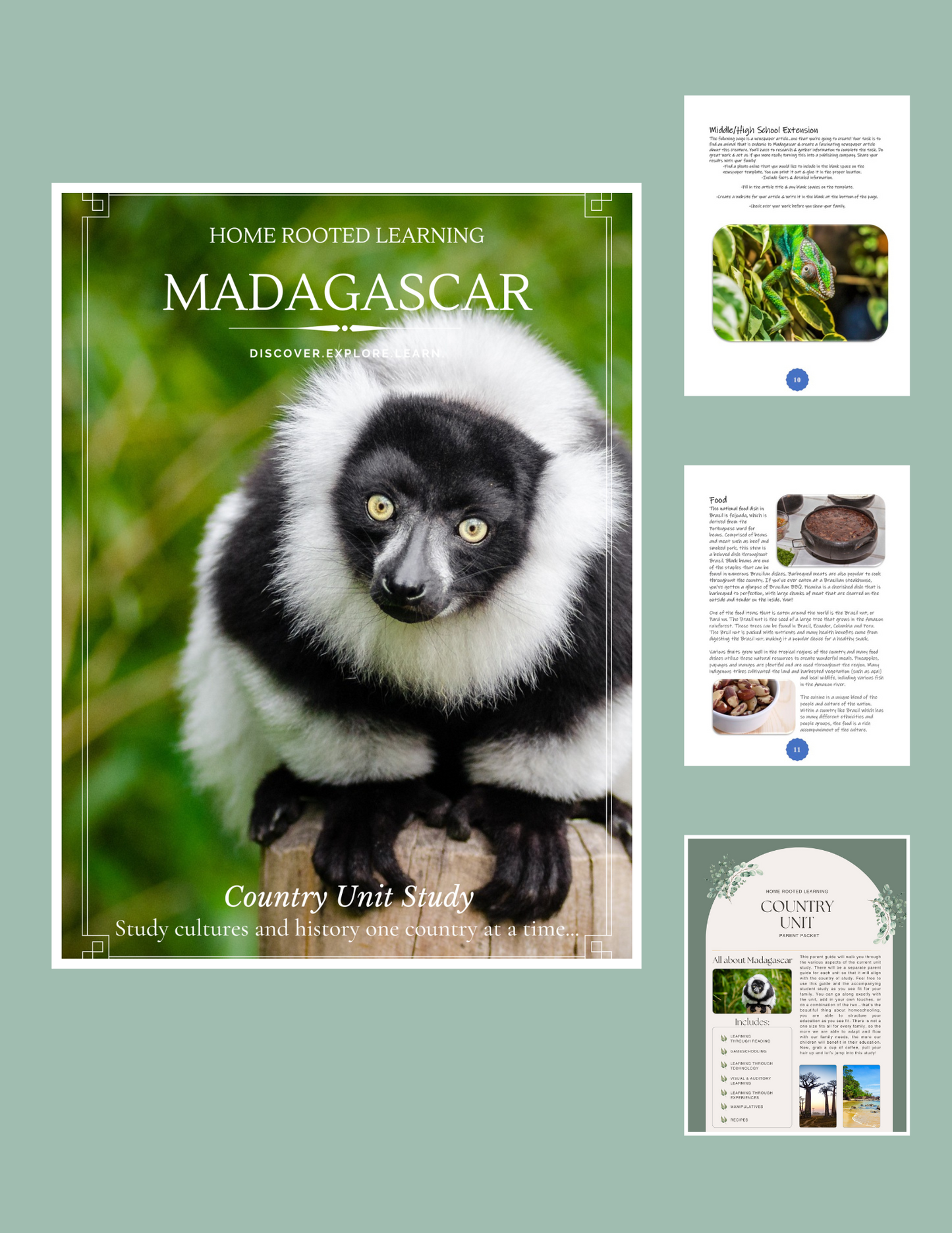 Madagascar Country Unit