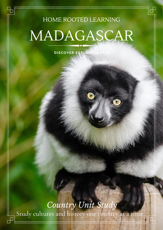 Madagascar Country Unit