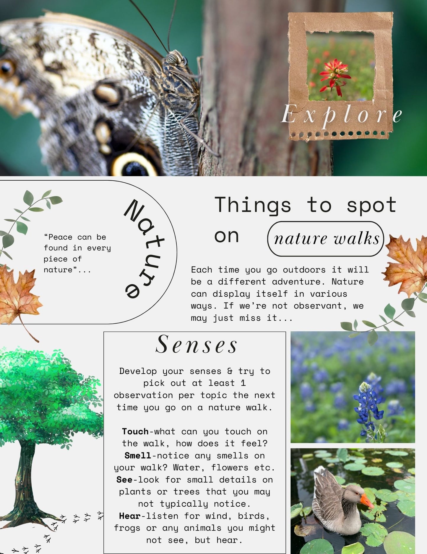 Nature Walk Wall Printable