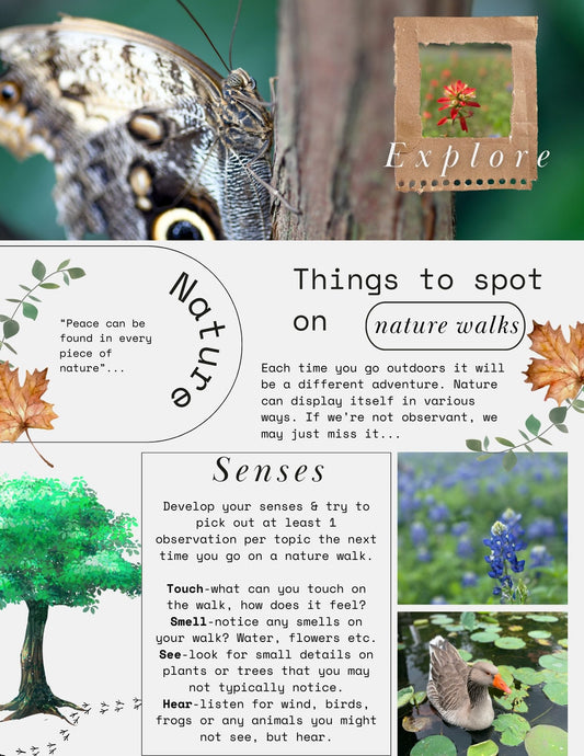 Nature Walk Wall Printable